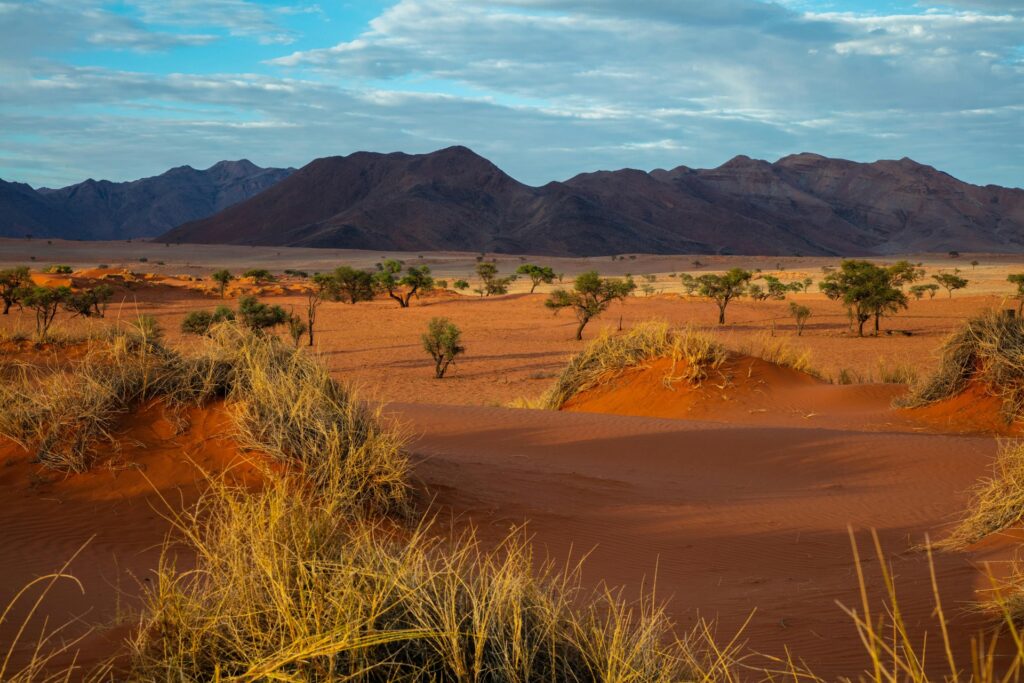 Namíbia, Sossusvlei.