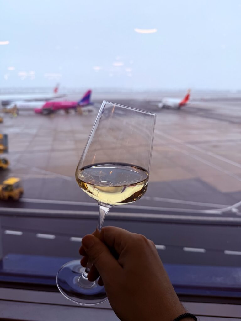 Vienna Lounge ételválaszték indulás előtt